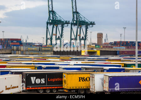 Seehafen, Hafen, Fracht, LKW mit Ladung warten an dem Frachtterminal in Zeebrugge Stockfoto