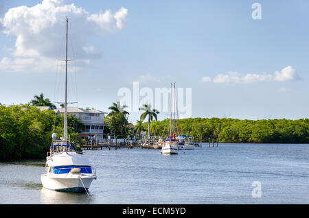 Kleine Boote in der Bucht von palm Stockfoto