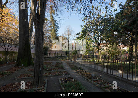 Orto Botanico di Padova, der Botanische Garten in Padua, Italien Stockfoto