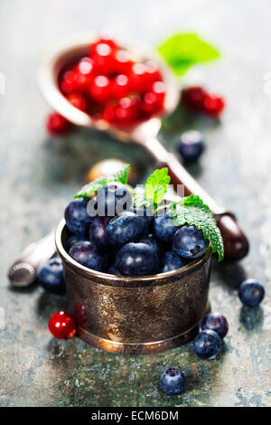 Heidelbeeren und roten Johannisbeeren Beeren Stockfoto