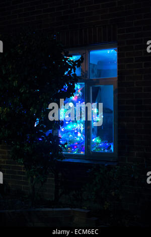 ein geschmückter Weihnachtsbaum leuchtet hell in der Nacht durch ein Fenster auf die Straße Stockfoto