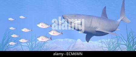 Zwei Haie schwimmen in tiefblauen Unterwasser und folgende Fische zu essen Stockfoto