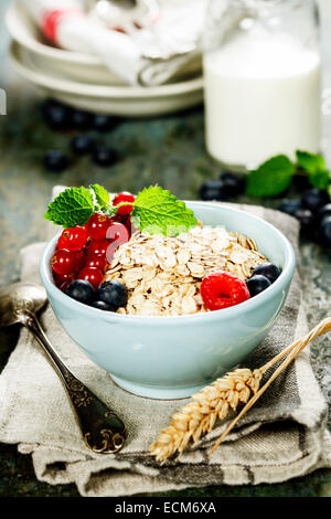 Gesunde Breakfast.Oat Flocke, Beeren und frische Milch. Gesundheit und Ernährung-Konzept Stockfoto