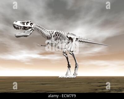Tyrannosaurus Rex Skelett auf dem Boden von bewölkten Tag Stockfoto