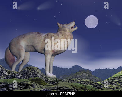 Ein Wolf heult bei Vollmond durch die tiefblaue Nacht auf den Bergen Stockfoto