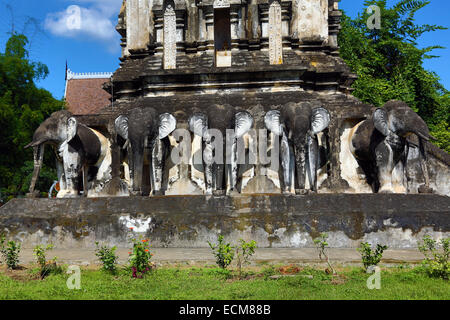 Gold gekrönt Elefant Chedi im Wat Chiang Man Tempel in Chiang Mai, Thailand Stockfoto