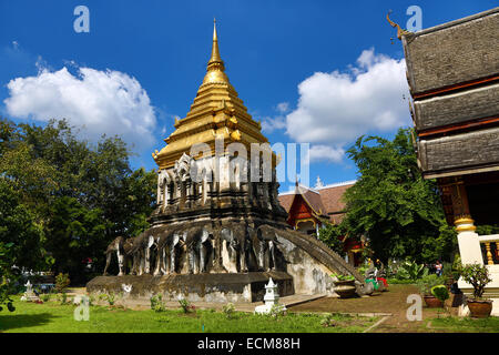 Gold gekrönt Elefant Chedi im Wat Chiang Man Tempel in Chiang Mai, Thailand Stockfoto