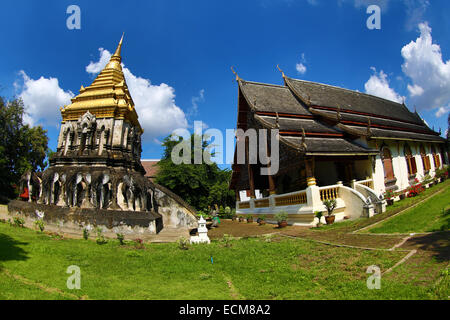 Gold gekrönt Elefant Chedi im Wat Chiang Man Tempel in Chiang Mai, Thailand Stockfoto