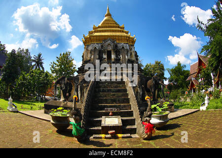 Gold gekrönt Elefant Chedi im Wat Chiang Man Tempel in Chiang Mai, Thailand Stockfoto