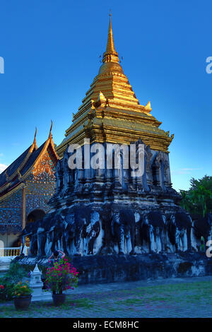Gold gekrönt Elefant Chedi im Wat Chiang Man Tempel bei Sonnenuntergang in Chiang Mai, Thailand Stockfoto
