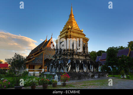 Gold gekrönt Elefant Chedi im Wat Chiang Man Tempel bei Sonnenuntergang in Chiang Mai, Thailand Stockfoto