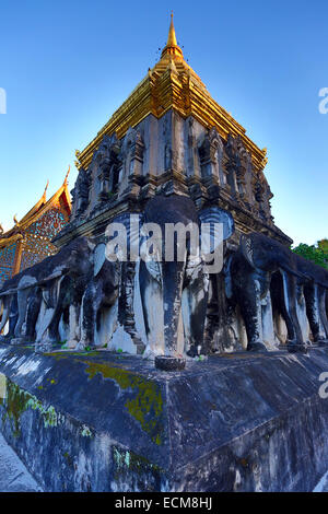 Gold gekrönt Elefant Chedi im Wat Chiang Man Tempel bei Sonnenuntergang in Chiang Mai, Thailand Stockfoto