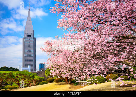 Tokyo, Japan-Frühling im Shinjuku Gyōen Park. Stockfoto