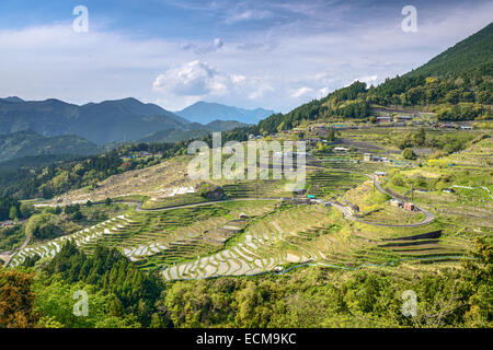 Reisterrassen bei Maruyama Senmaida in Kumano, Präfektur Mie, Japan. Stockfoto