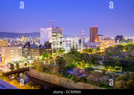 Stadtbild der Stadt Wakayama, Japan in der Dämmerung. Stockfoto