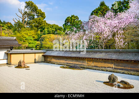 Kyoto, Japan im Ryōan-Ji Tempel Zen-Garten in der Frühjahrssaison. Stockfoto