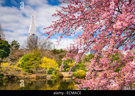 Tokyo, Japan-Frühling im Shinjuku Gyōen Park. Stockfoto