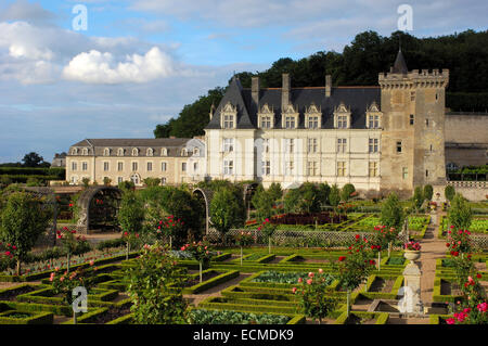 Château de Villandry Schloss und Gärten, Indre-et-Loire, Touraine Loire-Tal, Frankreich, Europa Stockfoto