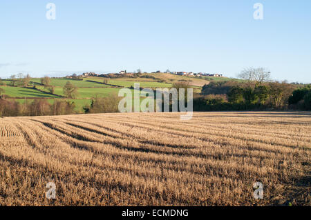 Durham Hügellandschaften gesehen von Bishop Auckland, Spennymoor ex Eisenbahn Zyklus Weg, Nord-Ost-England, UK Stockfoto