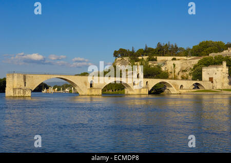 Saint-Benezet Brücke über die Rhône Fluß, Avignon, Vaucluse, Provence-Alpes-Côte d ' Azur, Rhône-Tal, Provence, Frankreich Stockfoto