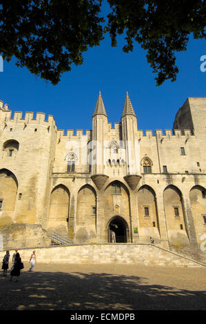 Palais des Papes, Papstpalast, Avignon, Vaucluse, Provence-Alpes-Côte d ' Azur, Rhône-Tal, Provence, Frankreich Stockfoto