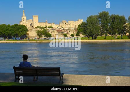 Palais des Papes, Papstpalast, Notre Dame des Doms Kathedrale und der Rhone, Avignon, Vaucluse, Provence-Alpes-Côte d ' Azur Stockfoto