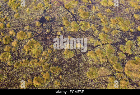 Süßwassersümpfe mit tierischen Trails, Luftaufnahme, Okavango Delta, Botswana Stockfoto