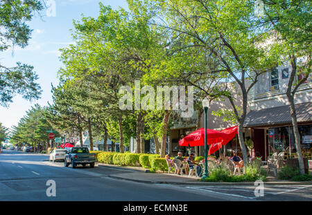 Twin Falls Idaho Main Street mit ihren Geschäften und Verkehr Kleinstadt mit Bäumen Stockfoto