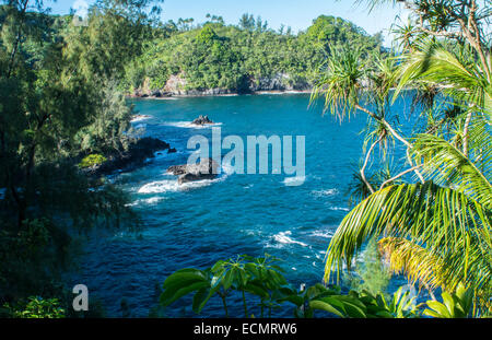Hilo Hawaii Big Island Ausblick auf Onomea Bay in Onomea fällt grün friedlich von oben mit Meer und Wellen Stockfoto