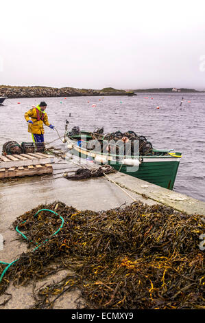 Burtonport, County Donegal, Irland. 17. Dezember 2014. Exporte von irischen Meeresfrüchten bis hin zu Ländern wie China stiegen um über 300 Prozent seit 2011 laut dem Minister für Landwirtschaft Food & der Marine, Simon Coveney T.D. Ein Hummer Fischer bringt Töpfe zurück an Land für die Lagerung während des Winters. Foto von: Richard Wayman / Alamy Live News Stockfoto