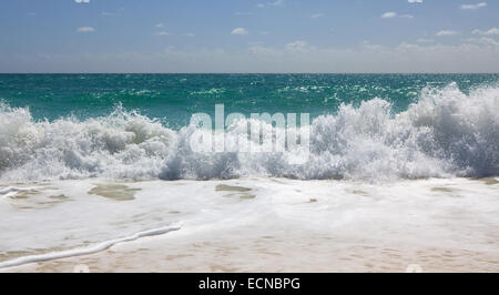 Lebhafte karibische Meer. Playa Los Cocos. Cayo Largo. Kuba. Stockfoto