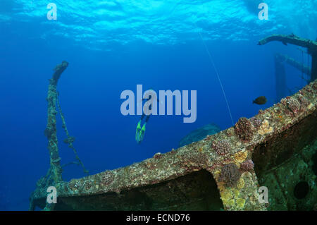 Freediver taucht auf Wreckship Gianis D. Rotes Meer, Sharm El Sheikh, Motorradfahrt Stockfoto