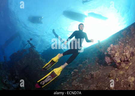 Freediver taucht auf Wreckship Gianis D. Rotes Meer, Sharm El Sheikh, Motorradfahrt Stockfoto