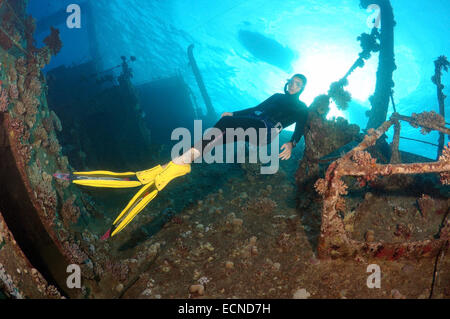 Freediver taucht auf Wreckship Gianis D. Rotes Meer, Sharm El Sheikh, Motorradfahrt Stockfoto