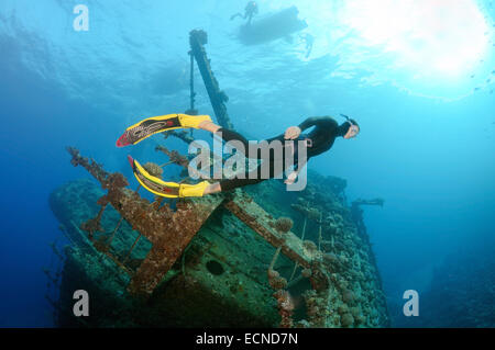 Freediver taucht auf Wreckship Gianis D. Rotes Meer, Sharm El Sheikh, Motorradfahrt Stockfoto