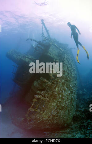 Freediver taucht auf Wreckship Gianis D. Rotes Meer, Sharm El Sheikh, Motorradfahrt Stockfoto