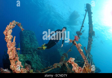 Freediver taucht auf Wreckship Gianis D. Rotes Meer, Sharm El Sheikh, Motorradfahrt Stockfoto