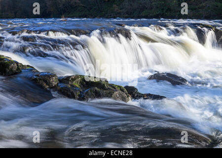 Nahaufnahme von der Wasserfall namens Cenarth verliebt sich in Ceredigion, Wales am Fluss Teifi. Stockfoto