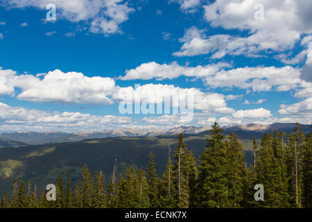 Elk Mountains von oben Skigebiet Aspen Mountain im Herbst in Aspen in den Rocky Mountains in Colorado Stockfoto