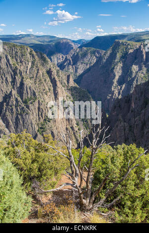 Black Canyon des Gunnison Nationalparks in western Colorado Stockfoto