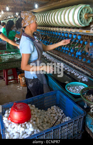 Kommerzielle Seidenfabrik in Lam Dong Province, Vietnam. Stockfoto