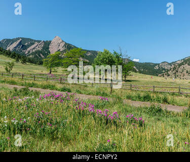 Chautauqua Park. Boulder. Colorado. USA Stockfoto