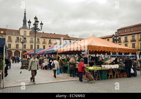 LEON, Spanien - 30. Januar 2013: Beliebte Markt von Obst und Gemüse auf dem Hauptplatz, am 30. Januar 2013 in Leon, Spanien Stockfoto