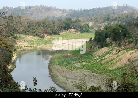 2010. Tabakfeld Chittagong in Bangladesch. Tabak, Bangladesch, Tabakpflanze, tabakblatt Stockfoto