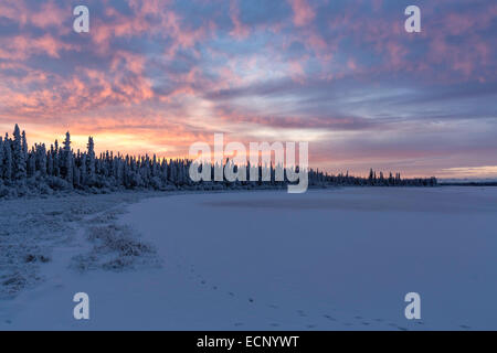 Alpenglühen und Sonnenaufgang am Deadman See in Tetlin National Wildlife Refuge in Alaska Interior im Winter. Stockfoto