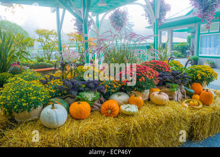 Herbst-Ernte-Display, Butchart Gardens, British Columbia, Kanada Stockfoto