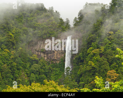 Great Falls Nachi, Nachi-Taki Wasserfall am Kumano Kodo Pilgerweg, Kii Halbinsel, Präfektur Wakayama, Japan Stockfoto