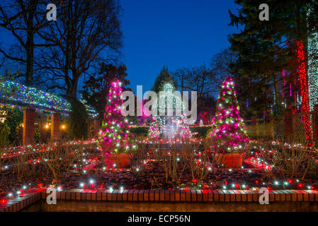 Christmas Light display, Park und Gärten Tilford, N. Vancouver, British Columbia, Kanada Stockfoto