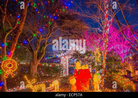 Christmas Light display, Park und Gärten Tilford, N. Vancouver, British Columbia, Kanada Stockfoto
