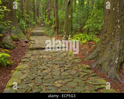 Die Daimonzaka Schritte zum Kumano Nachi Taisha Grand Shrine, Kumano Kodo Pilgerweg, Kii Halbinsel, Wakayama, Japan Stockfoto